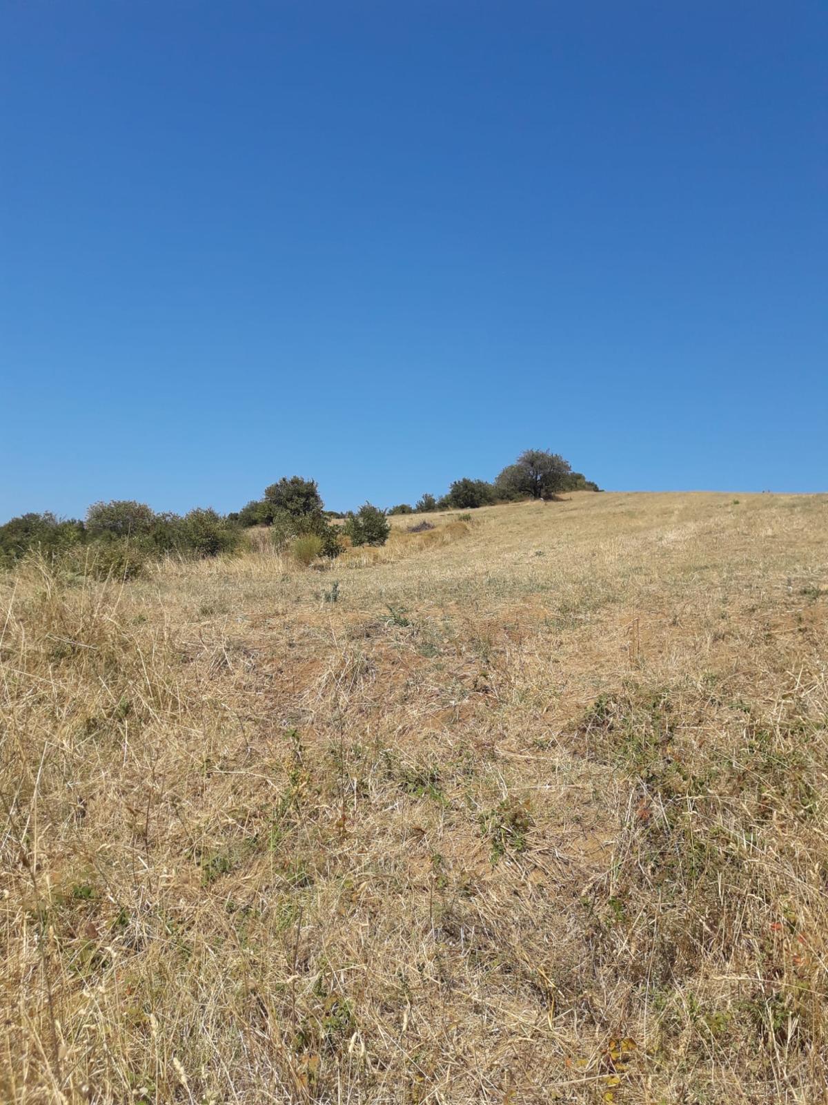 Satılık tarla - YALOVA ÇINARCIK fotoğraf 3