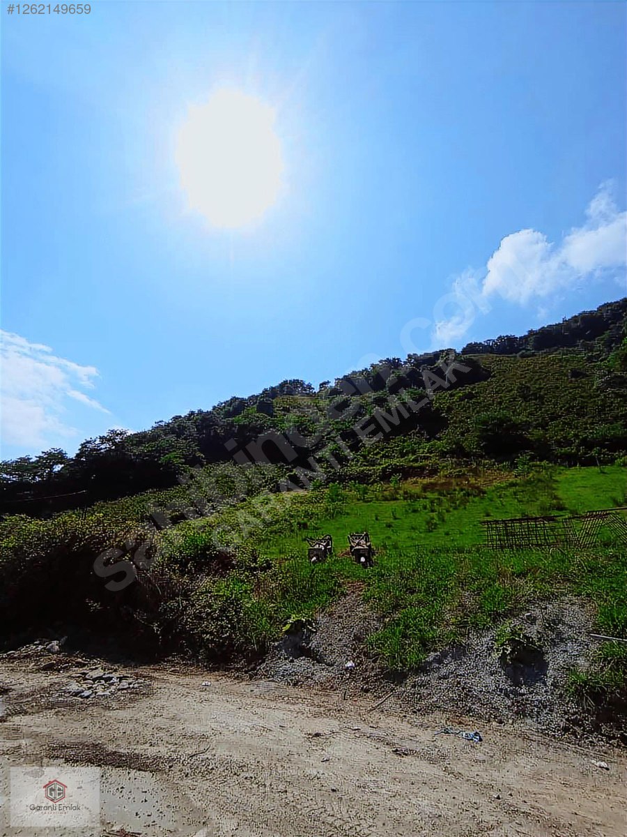 SARAYCIKDA SATILIK 76 DÖNÜM FINDIK BAHÇESİ - ORDU ALTINORDU fotoğraf 8