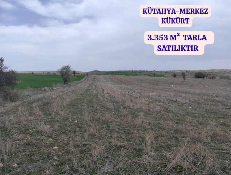 KÜTAHYA MERKEZ KÜKÜRT   KÖYÜNDE 3.353  M²  TARLA  SATILIKTIR - KÜTAHYA MERKEZ fotoğraf 2