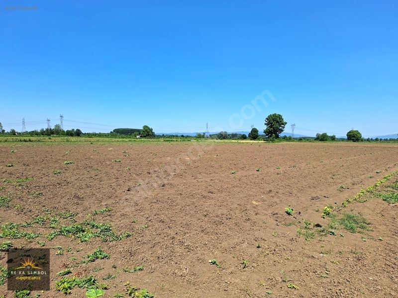ERENLER KAMIŞLI MAHALLESİNDE SATILIK 3.370 M2 TARLA - SAKARYA ERENLER fotoğraf 2