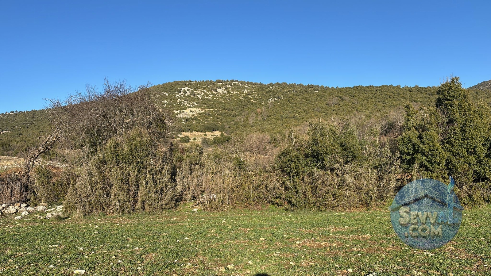 BURDUR-AĞLASUN YAZIR KÖYÜNDE YATRIMLIK FIRSAT TARLA - Burdur Ağlasun fotoğraf 2