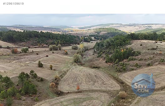 Kütahya Gediz Samralar'da Uygun fiyatlı - KÜTAHYA GEDİZ fotoğraf 4