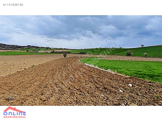 Araç Takaslı - BİLECİK YENİPAZAR fotoğraf 30