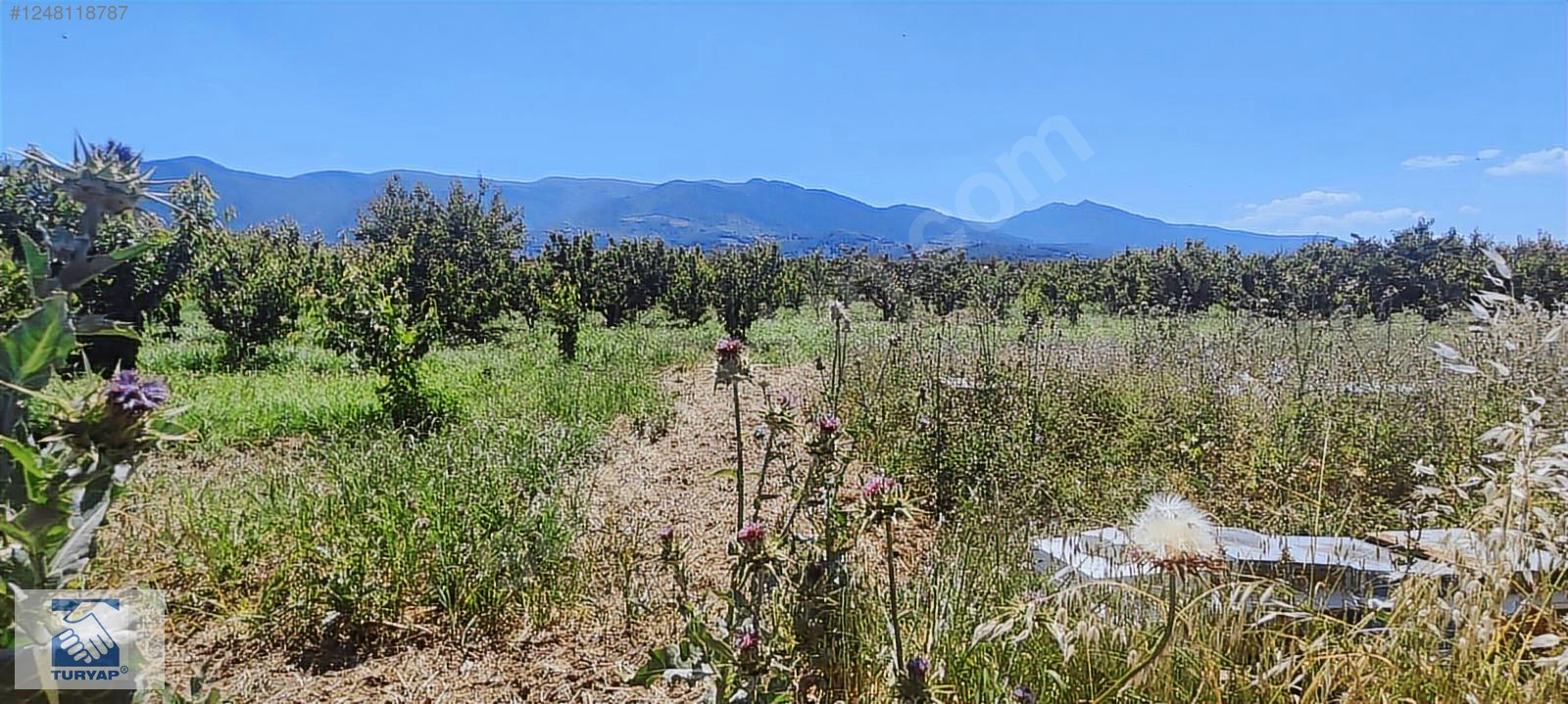Kemalpaşa Örende 1234 M2 Satılık Müstakil Bahçe - İZMİR KEMALPAŞA fotoğraf 5