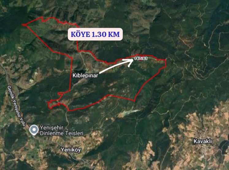 BURSA YENİŞEHİR KIBLEPINAR  KÖYÜNDE 5.936  M² TARLA  SATILIKTIR - BURSA YENİŞEHİR fotoğraf 4