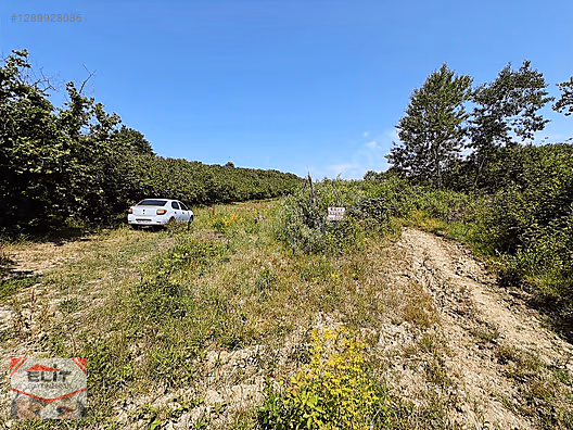 SAKARYA KARASU'DA SATILIK FRSAT KÖY İÇİNDE 635 metre² KUPON ARSA - SAKARYA KARASU fotoğraf 33