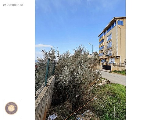 KESTEL VANIMEHMET MH SATILIK 483 M2 ARSA - BURSA KESTEL fotoğraf 19