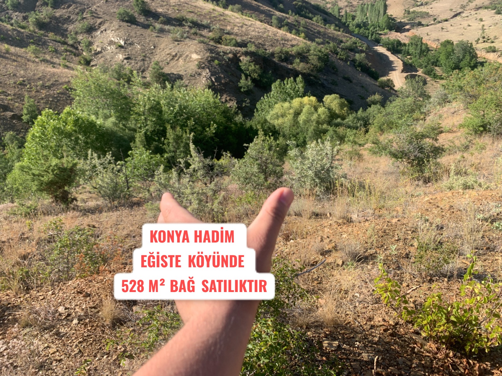 KONYA HADİM EĞİSTE KÖYÜNDE 528 M2 BAĞ SATILIKTIR - KONYA HADİM fotoğraf 11