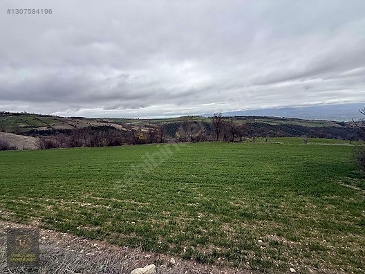 SAMSUN VEZİRKÖPRÜ ÇAMLIDERE'DE 6.670 M2 UYGUN ARSA - SAMSUN VEZİRKÖPRÜ fotoğraf 27