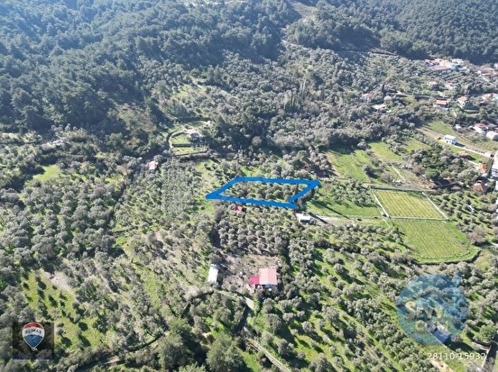 Kuşadası Kirazlıda fırsat bahçe - AYDIN KUŞADASI fotoğraf 6