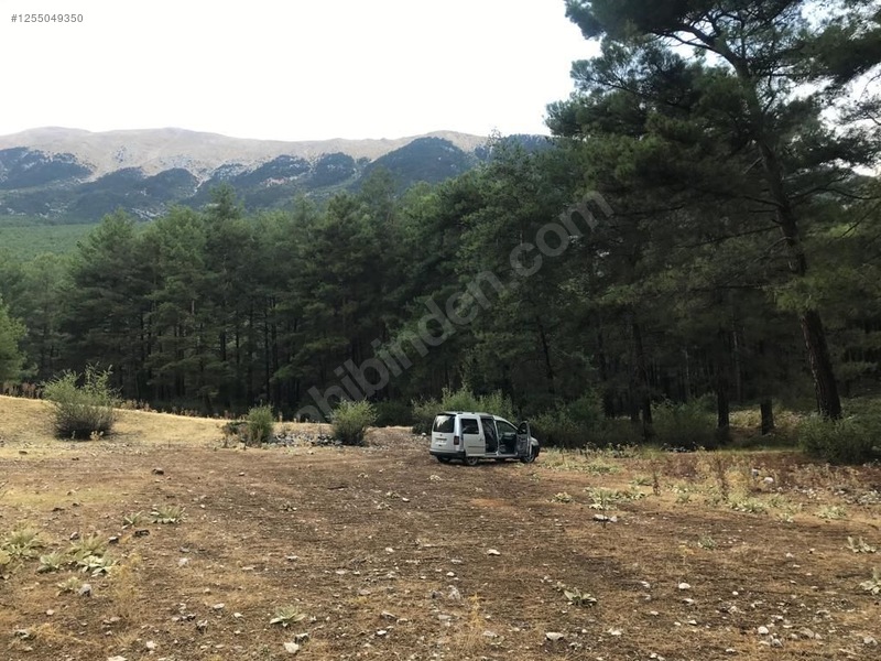 Antalya / Kumluca / Karacaören Mahallesinde 2.492 m² SATILIK ARSA - ANTALYA KUMLUCA fotoğraf 3