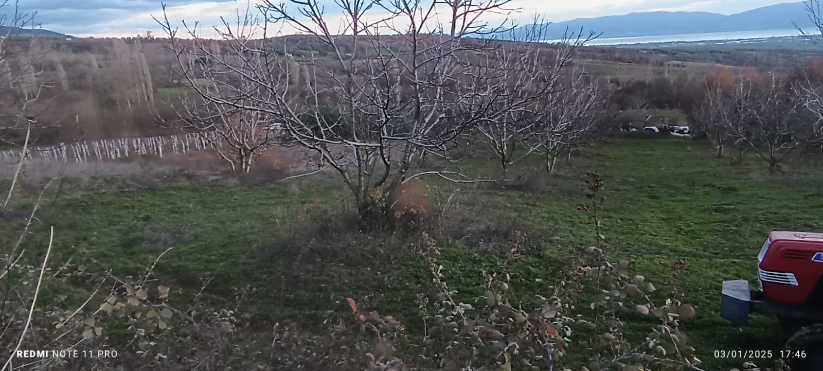 iznik gölü manzaralı cevizlik - YALOVA MERKEZ fotoğraf 5