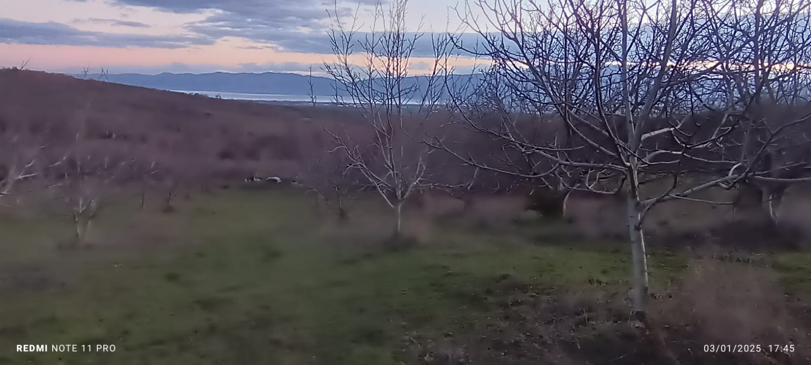 iznik gölü manzaralı cevizlik - YALOVA MERKEZ fotoğraf 7