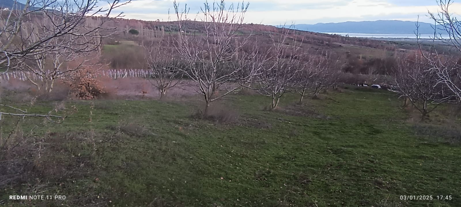 iznik gölü manzaralı cevizlik - YALOVA MERKEZ fotoğraf 8