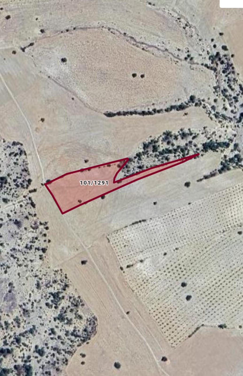    MERSİN MUT SAKIZ Mh. 6.113M² BAĞIMIZ SATILIKTIR.   - MERSİN MUT fotoğraf 3