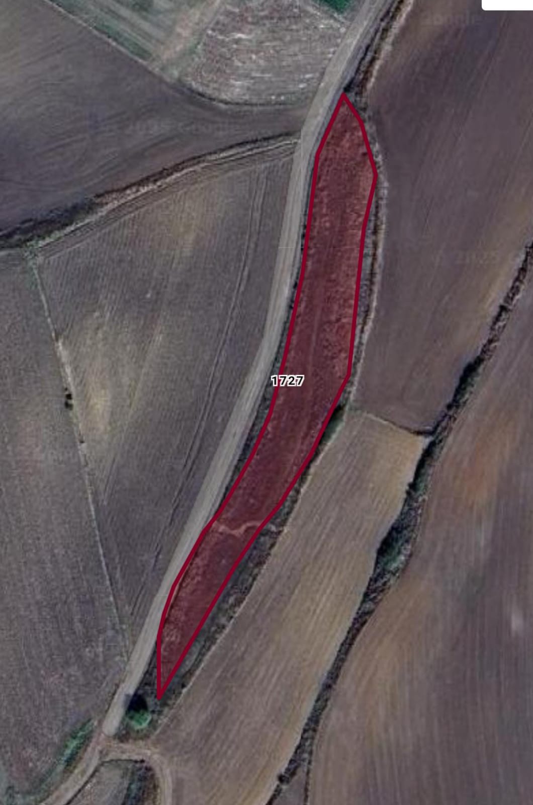   TEKİRDAĞ HAYRABOLU ÇERKEZMÜSELLİM 3.000M² TARLAMIZ SATILIKTIR.   - TEKİRDAĞ HAYRABOLU fotoğraf 5