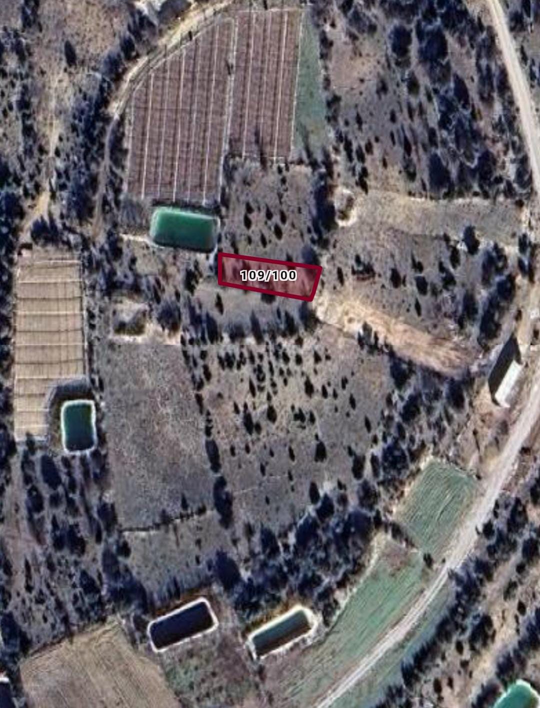MERSİN ERDEMLİ KIZILEN 380 m² BAĞIMIZ SATILIKTIR. - MERSİN ERDEMLİ fotoğraf 4