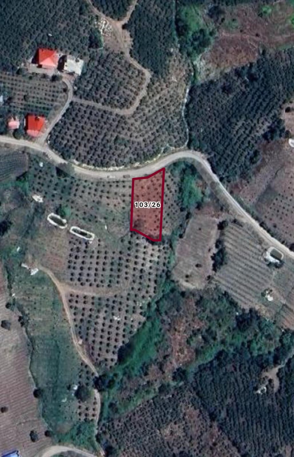 MERSİN MEZİTLİ SARILAR 721 m² TARLAMIZ SATILIKTIR. - MERSİN MEZİTLİ fotoğraf 4