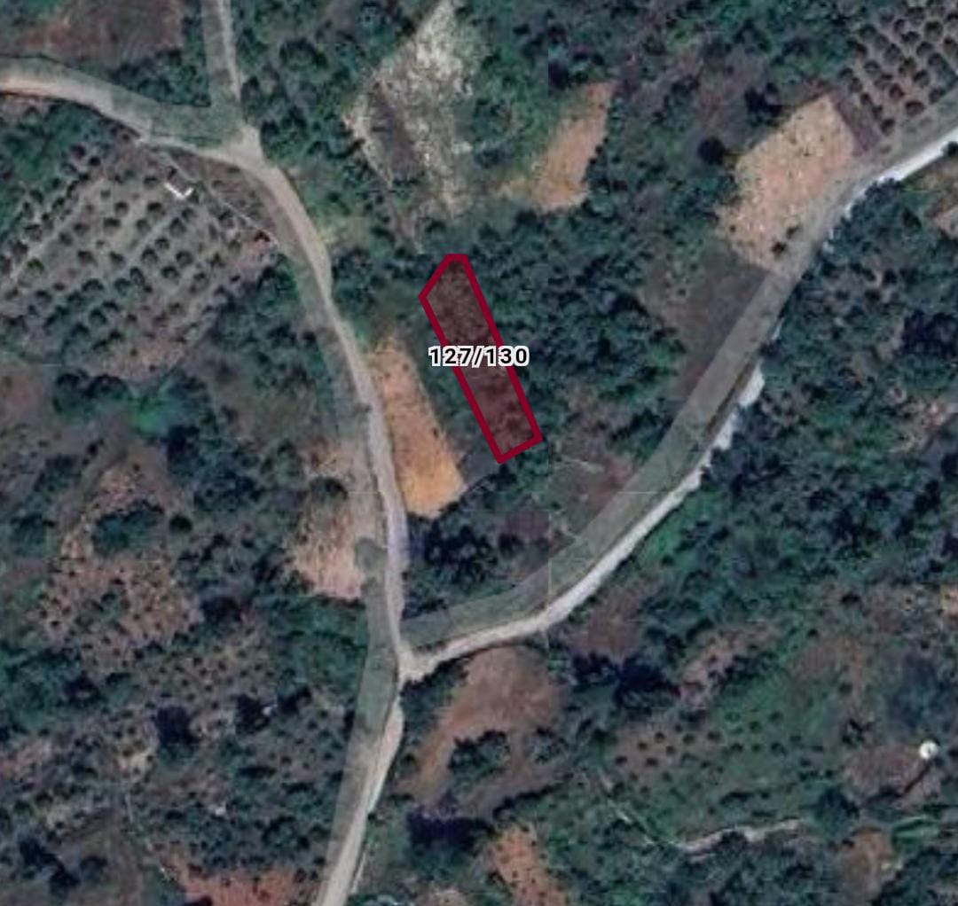 Köy içi hazır ev yapmaya uygun bahçe 368 m² SATILK TARLA - ANTALYA ALANYA fotoğraf 5