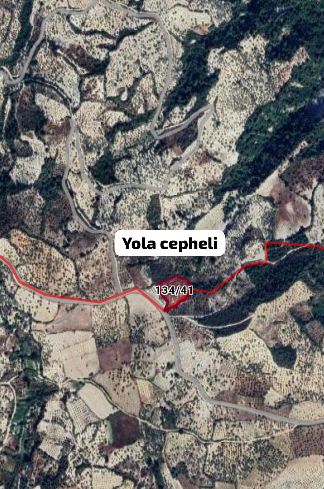 Uygun Fiyata  HATAY Yayladağı Kışlakta 3 DÖNÜM 800 metre