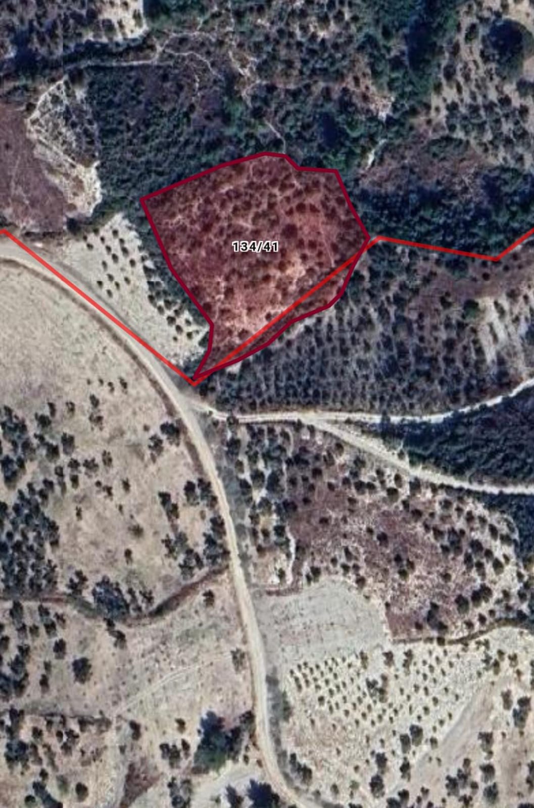 Uygun Fiyata  HATAY Yayladağı Kışlakta 3 DÖNÜM 800 metre - HATAY YAYLADAĞI fotoğraf 4
