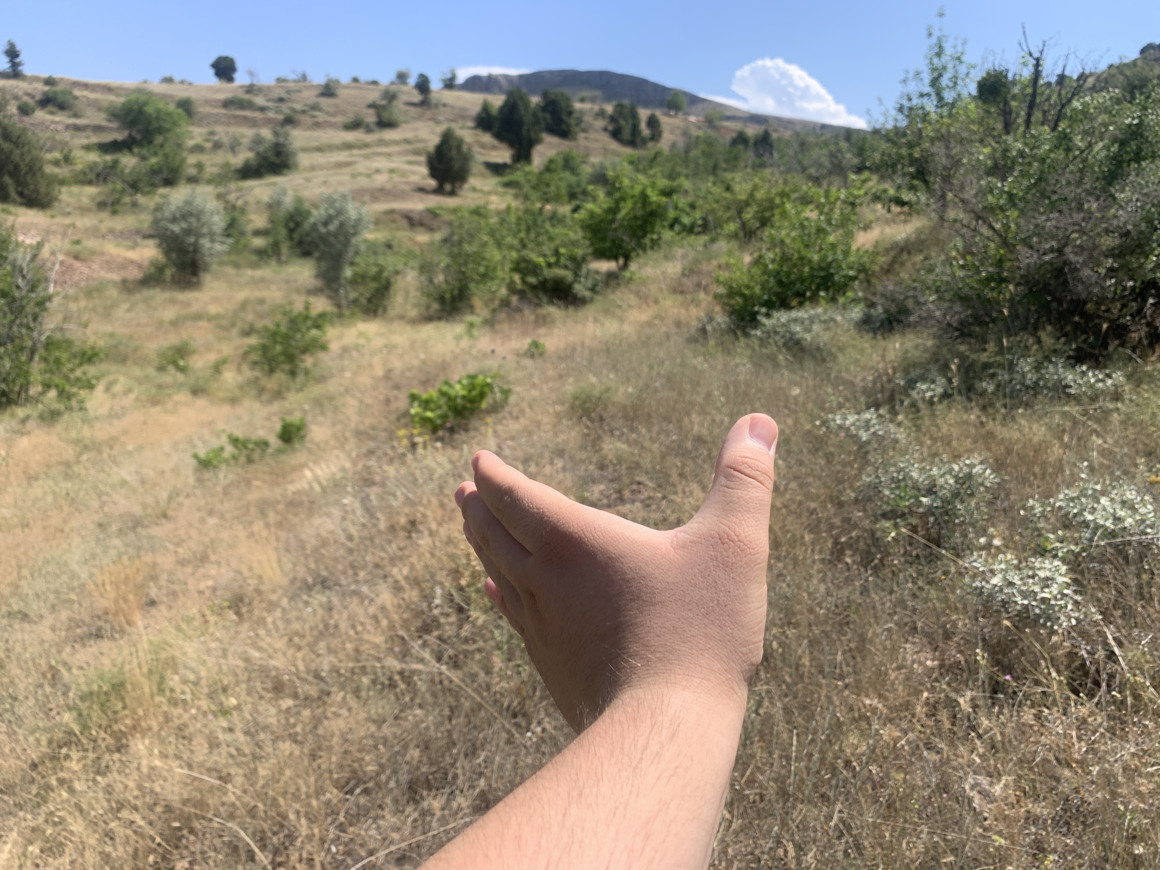 KONYA BOZKIR HACILAR KÖYÜNDE 236 M2 BAĞ SATILIKTIR. - KONYA BOZKIR fotoğraf 6