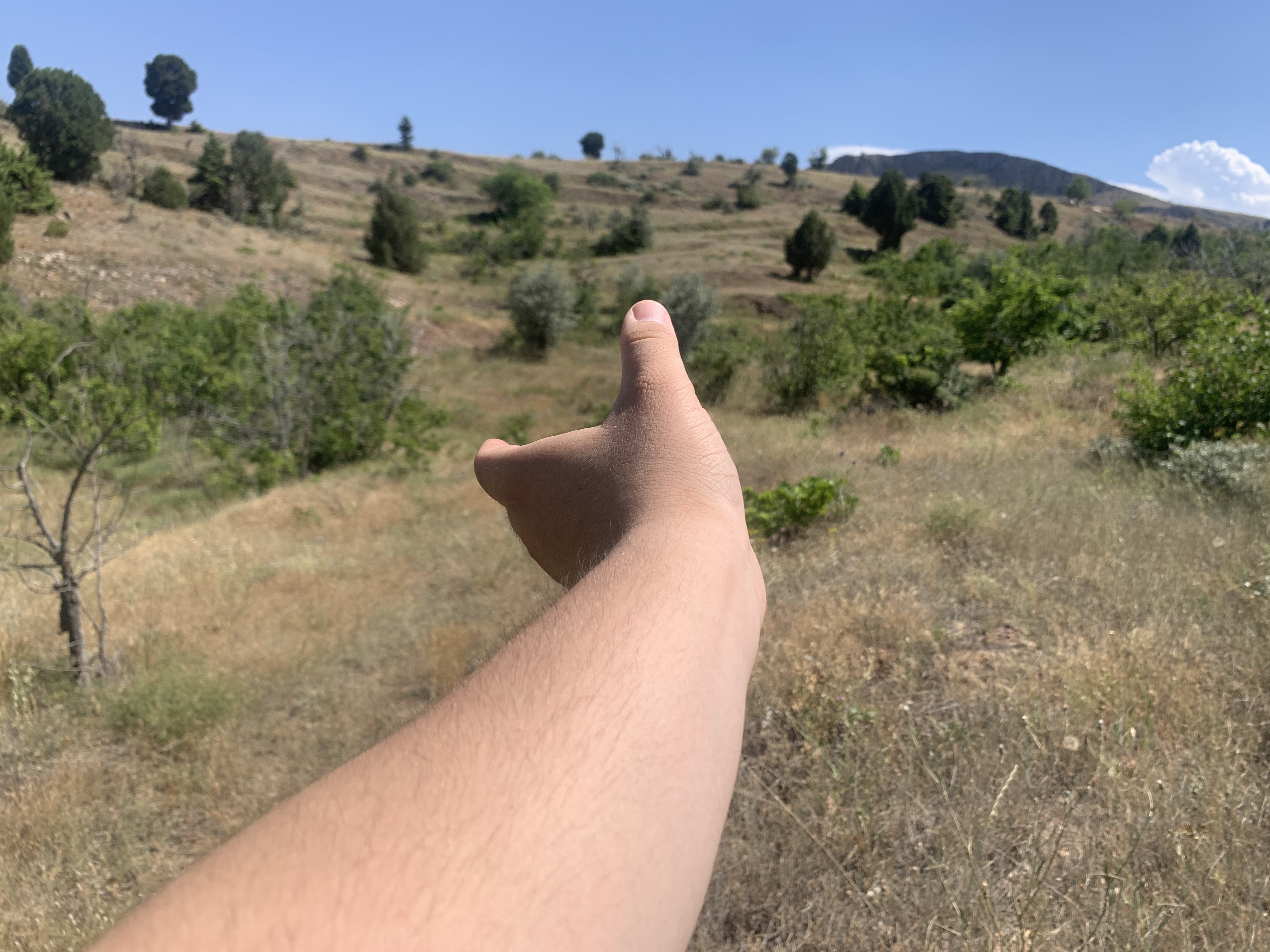 KONYA BOZKIR HACILAR KÖYÜNDE 236 M2 BAĞ SATILIKTIR. - KONYA BOZKIR fotoğraf 9