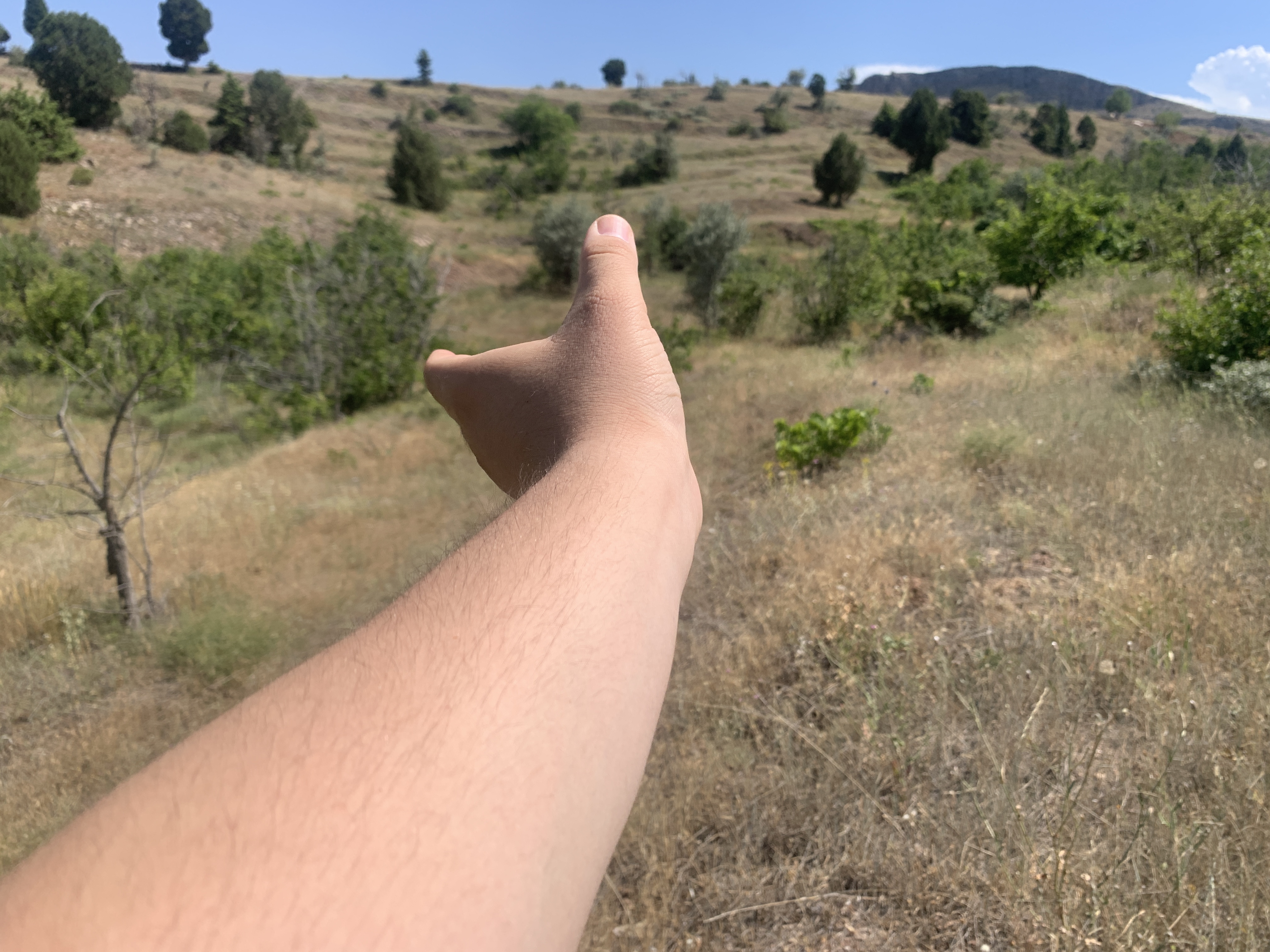 KONYA BOZKIR HACILAR KÖYÜNDE 236 M2 BAĞ SATILIKTIR. - KONYA BOZKIR fotoğraf 10