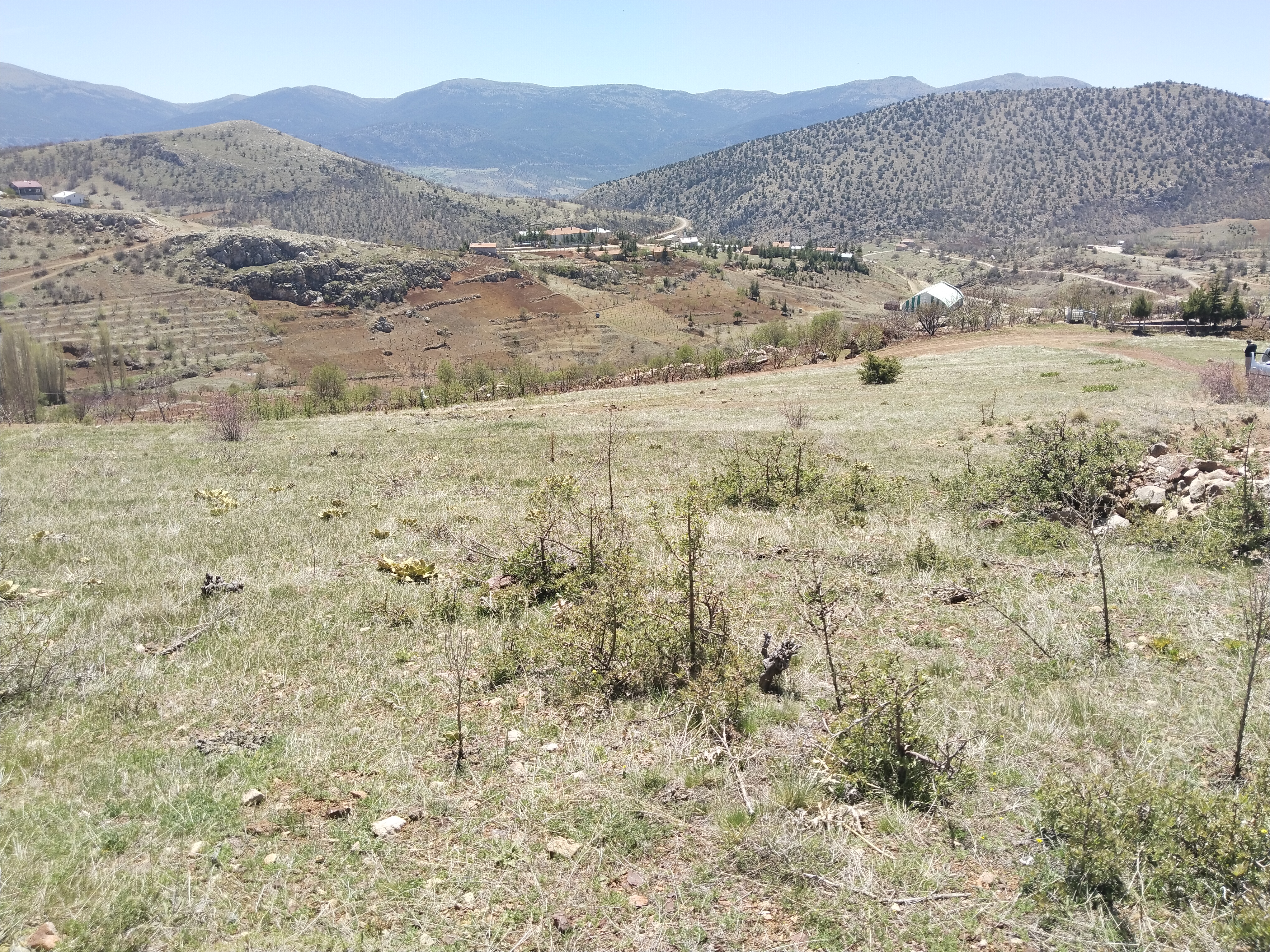 KONYA HADİM YUKARIEŞENLER KÖYÜ'NDE 653 M² TARLAMIZ SATILIKTIR - KONYA HADİM fotoğraf 26