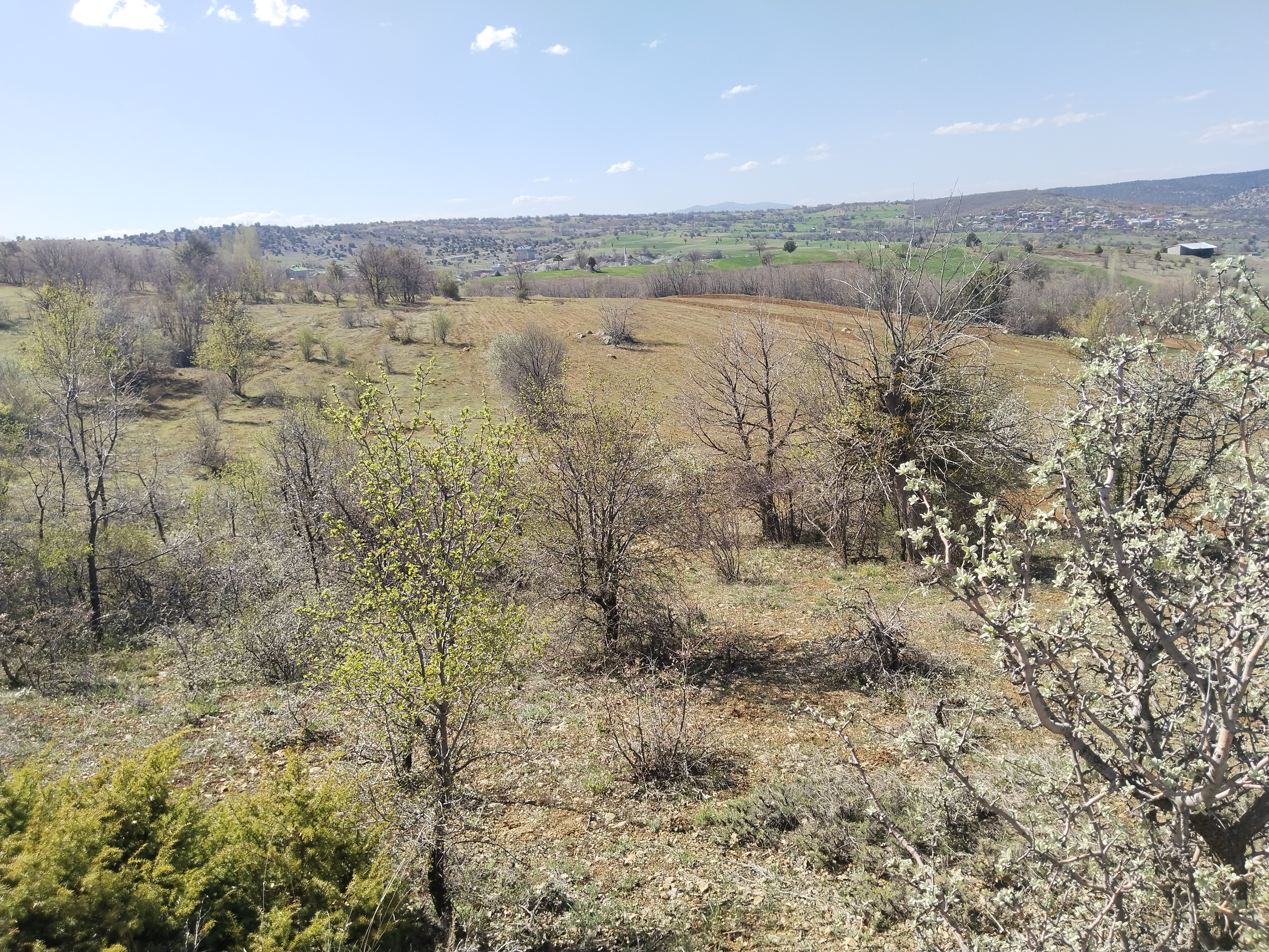 KONYA BOZKIR KİLDERE KÖYÜNDE 928 M² TARLA SATILIKTIR. - KONYA BOZKIR fotoğraf 21