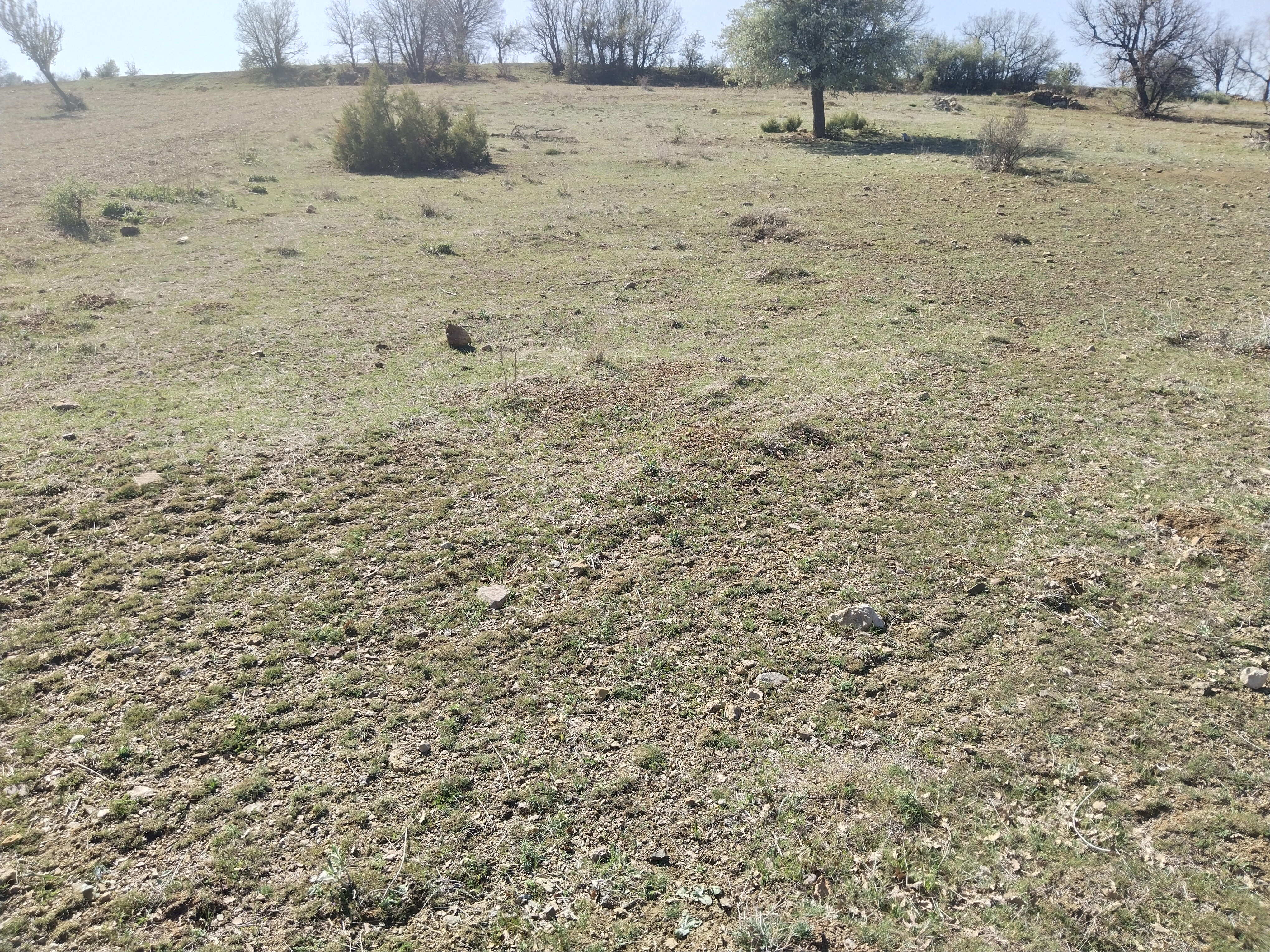 KONYA BOZKIR KİLDERE KÖYÜNDE 909 M² TARLA SATILIKTIR. - KONYA BOZKIR fotoğraf 22