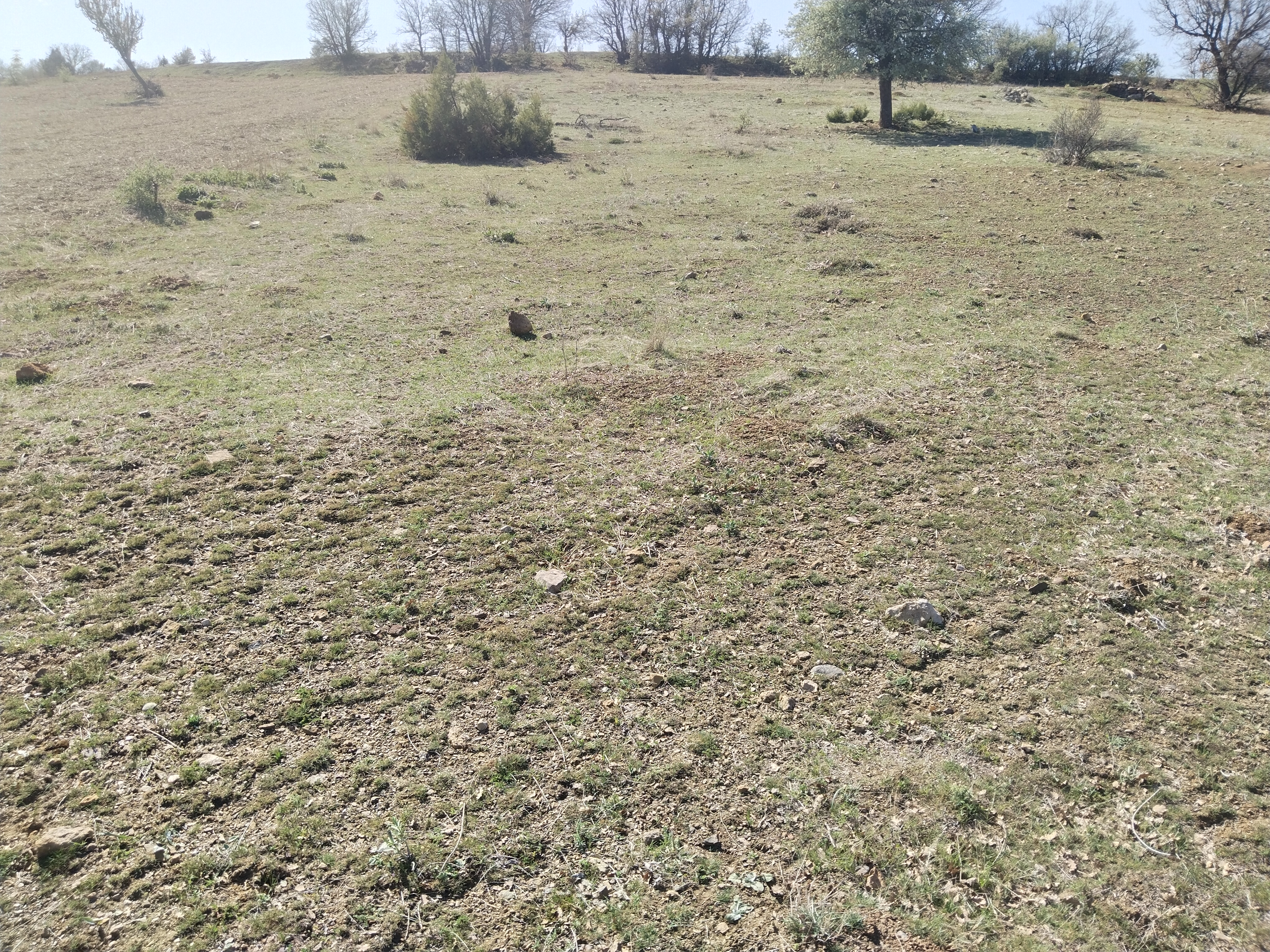 KONYA BOZKIR KİLDERE KÖYÜNDE 909 M² TARLA SATILIKTIR. - KONYA BOZKIR fotoğraf 23