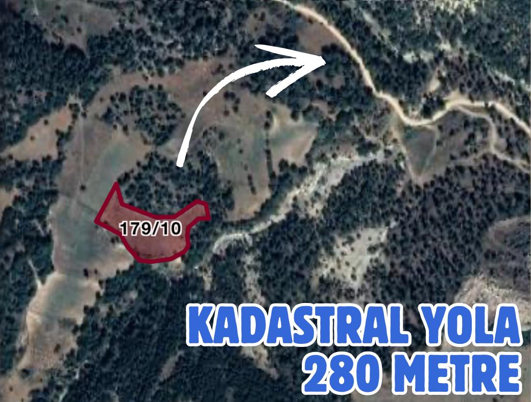 DENİZLİ BOZKURT HAYRETTİN 6.650 M² TARLAMIZ SATILIKTIR - DENİZLİ BOZKURT fotoğraf 4