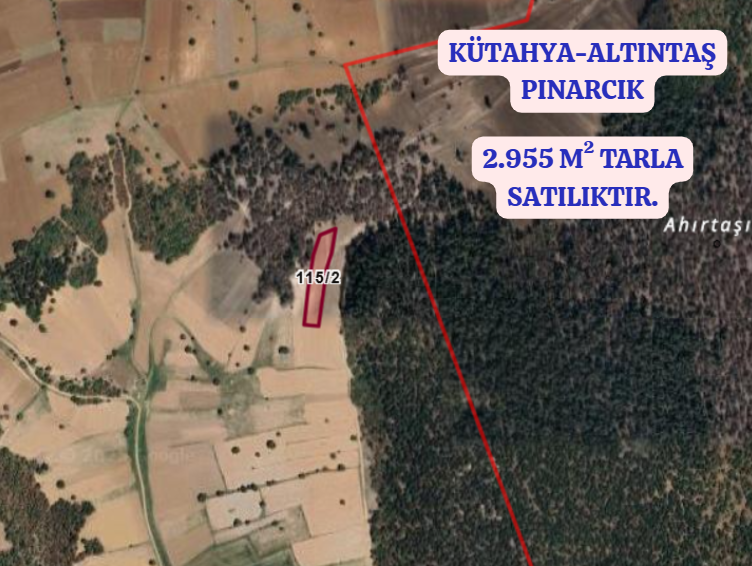 KÜTAHYA ALTINTAŞ PINARCIK  KÖYÜNDE 2.955  M²  TARLA  SATILIKTIR  - KÜTAHYA ALTINTAŞ fotoğraf 2