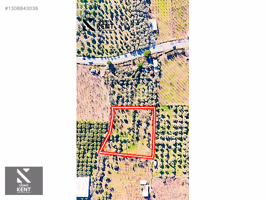 Kemalpaşa M.Akif Ersoy Satılık 7.250 m2 Bahçe Tek Tapu - İZMİR KEMALPAŞA fotoğraf 15
