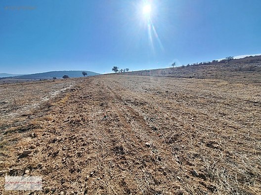 KORKUTELİ BOZOVA DA 19.000 M2 İMARA 220 MT - ANTALYA KORKUTELİ fotoğraf 4