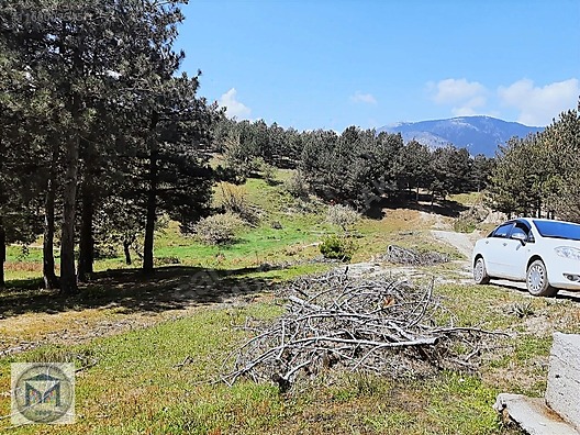 HAVRAN FAZLICA HANLAR MEVKİİ EKO TURİZME UYGUN 12500 M2 TARLA - BALIKESİR HAVRAN fotoğraf 16