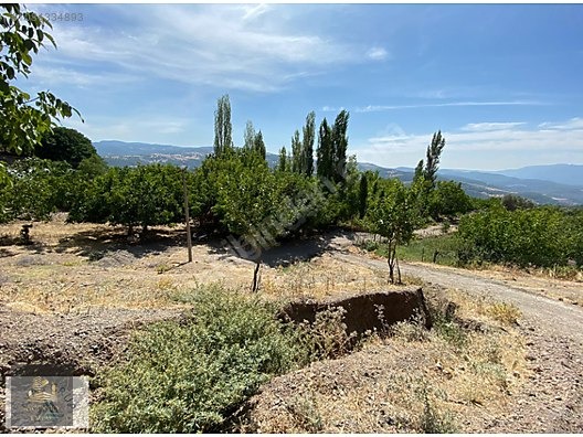 Manisa Akhisar Söğütlü Mahallesinde 1.086 m² Müstakil Tapulu - MANİSA AKHİSAR fotoğraf 2