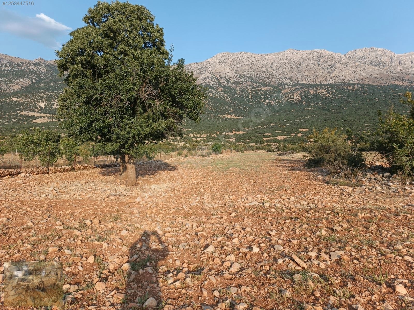 acil !korkuteli'de Yazıra komşu İmecikte 1883m mahalle yanında - ANTALYA KORKUTELİ fotoğraf 19