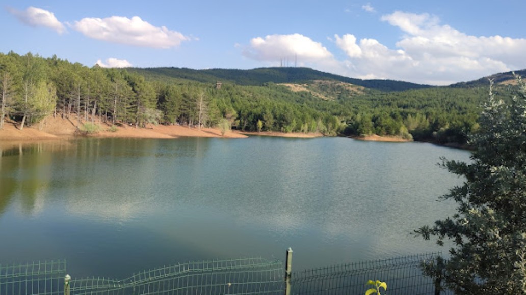 YOZGAT SORGUN TUZLACIK KÖYÜ 2.100 M² TARLA SATILIKTIR - YOZGAT SORGUN fotoğraf 8