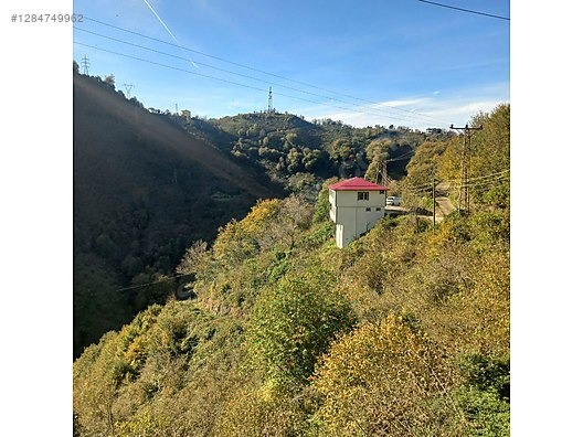 TİREBOLU CİVİL KÖYÜNDE SATILIK İÇİNDE EV OLAN FINDIK BAHÇESİ - GİRESUN TİREBOLU fotoğraf 6