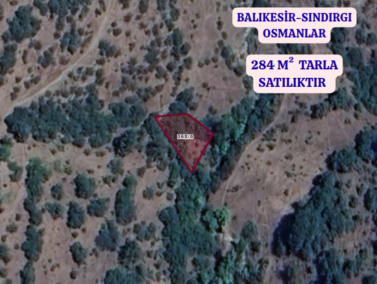 BALIKESİR SINDIRGI OSMANLAR  KÖYÜNDE 284 M² TARLA  SATILIKTIR - BALIKESİR SINDIRGI fotoğraf 2
