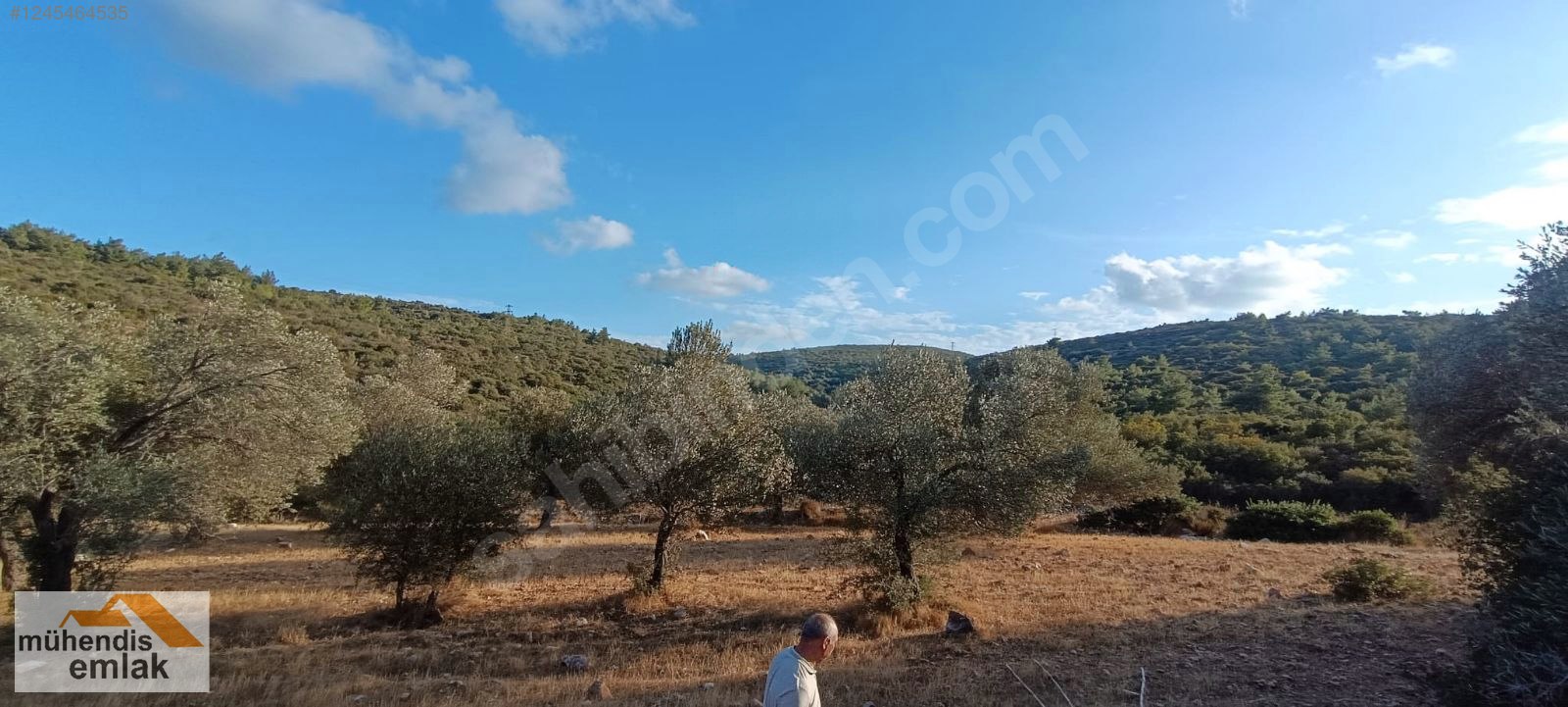 MÜHENDİS EMLAK URLA BALIKLIOVA ILDIR YOLU SIRTDA 8,5 DÖNÜM TARLA - İZMİR URLA fotoğraf 5