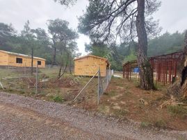 İzmır Kemalpaşa Yukarıkızılca'da 700m² Hisse Tapulu Satılık Bahçe - İZMİR KEMALPAŞA fotoğraf 2