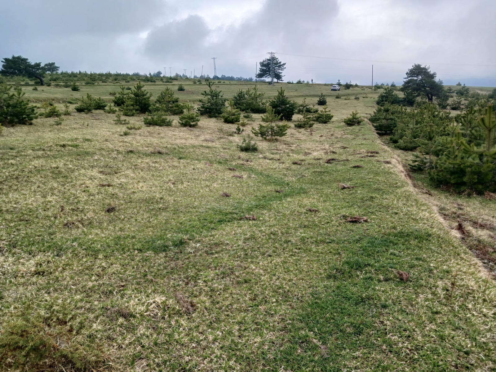 SİNOP DİKMEN ÇUKURCAALAN KÖYÜNDE 2.915M² TARLA SATILIK - SİNOP DİKMEN fotoğraf 21