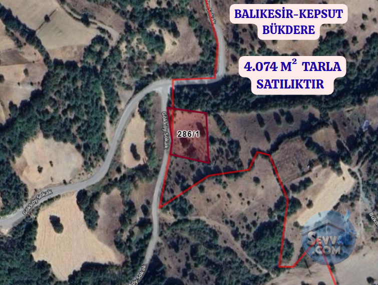 BALIKESİR KEPSUT BÜKDERE  KÖYÜNDE  4.074 M²  TARLA SATILIKTIR - BALIKESİR KEPSUT fotoğraf 2