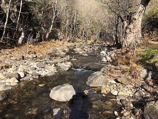 BURSA İZNİK TACİR KÖYÜNDE 5.950 M² TARLA SATILIKTIR - BURSA İZNİK fotoğraf 3