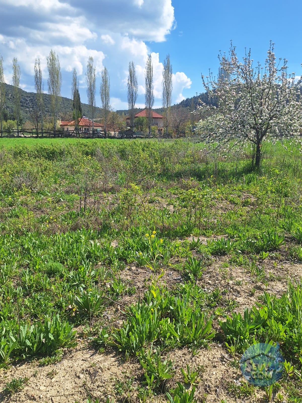 AĞLASUN KİBRİT KÖYÜNDE SATILIK FIRSAT ARAZİ - Burdur Ağlasun fotoğraf 2
