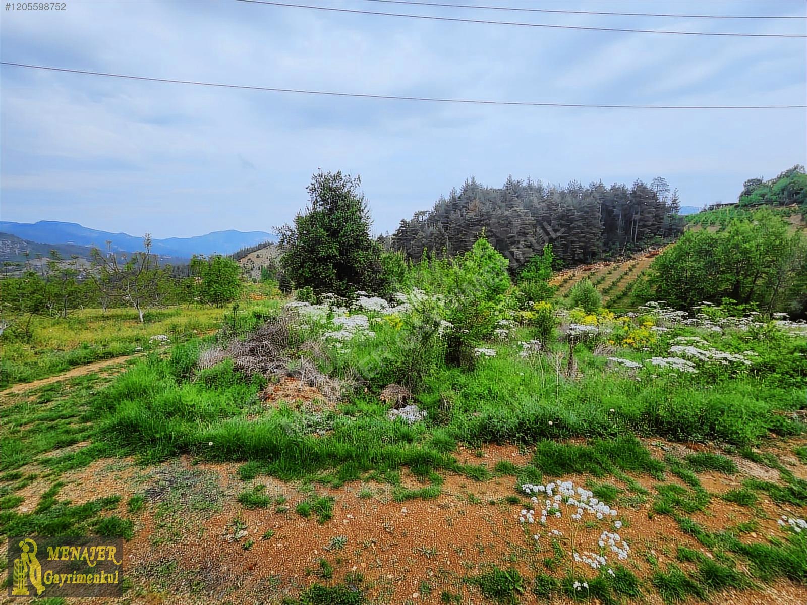 EVCİLİ KÖYÜ 10500 M2 EV VE CEVİZ BAHÇESİ - MERSİN TOROSLAR fotoğraf 17