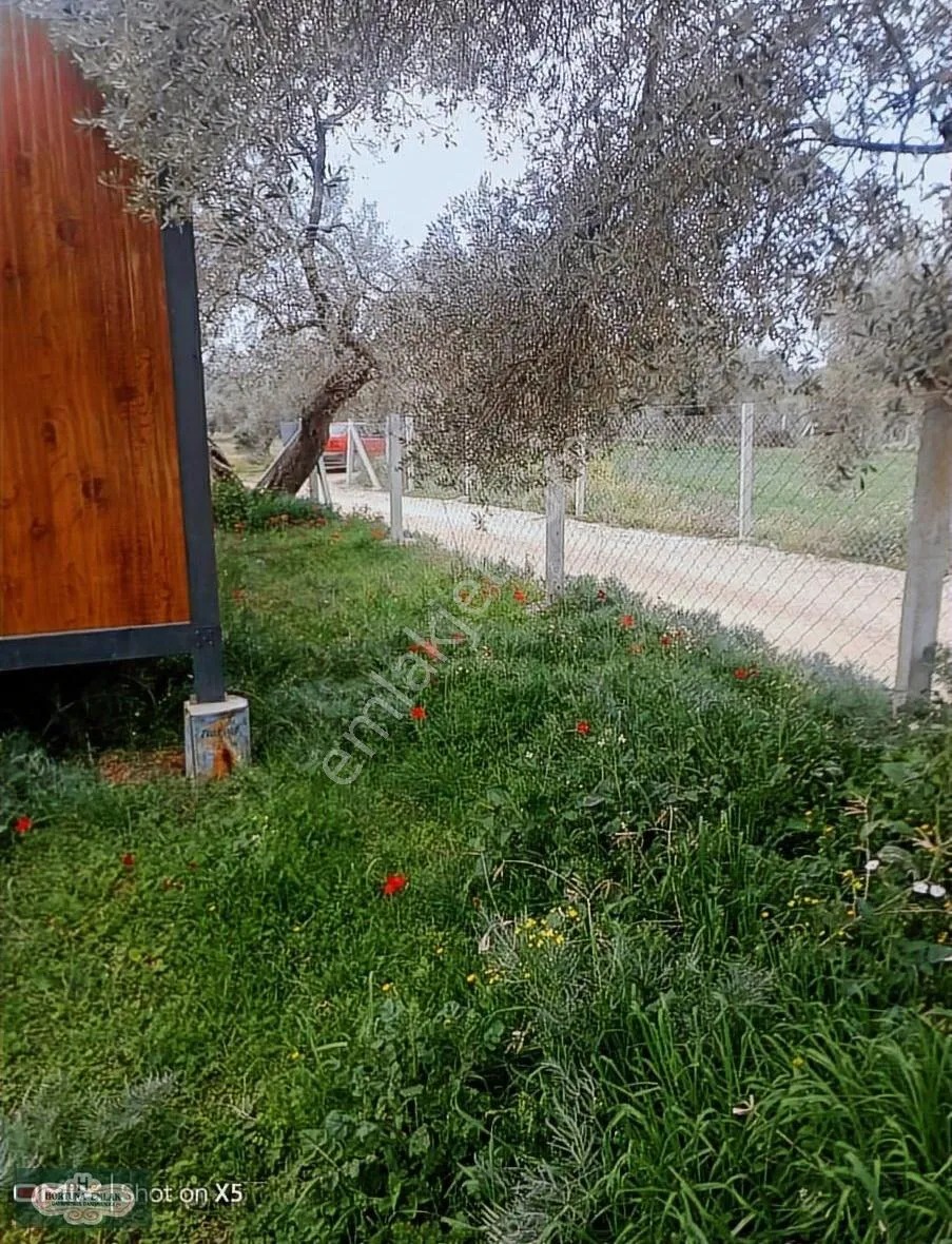 İzmir Torbalı Helvacı Köyünde 260m2 Ata Toprağı Satılık - İZMİR TORBALI fotoğraf 2